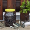 Ev Yapımı Siyah Zeytin