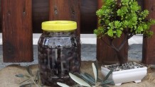 Ev Yapımı Siyah Zeytin