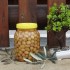 Ev Yapımı Çizik Yeşil Zeytin